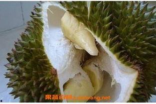 榴莲催熟爆料方法视频,视频揭秘神奇催熟方法  第2张